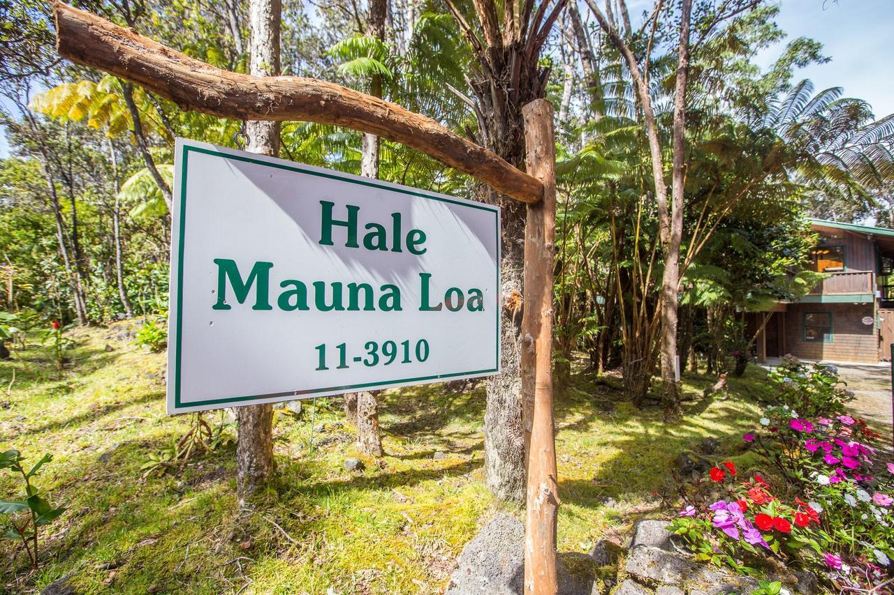 Hale Mauna Loa Upper Level With Shared Hot Tub Volcano Zewnętrze zdjęcie